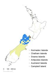 Veronica leiophylla distribution map based on databased records at AK, CHR & WELT.
 Image: K.Boardman © Landcare Research 2022 CC-BY 4.0